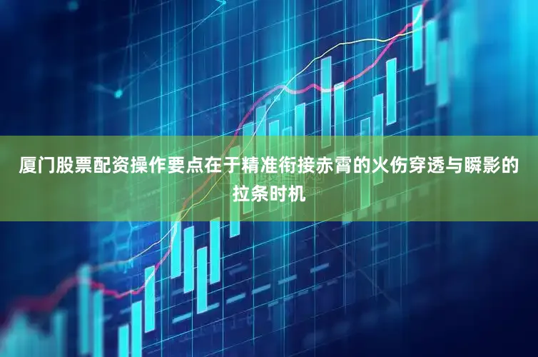 厦门股票配资操作要点在于精准衔接赤霄的火伤穿透与瞬影的拉条时机